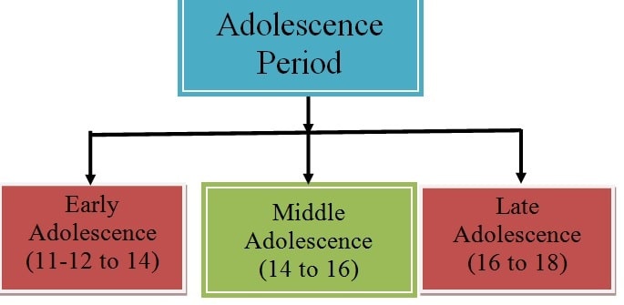 Late adolescence cognitive discount development