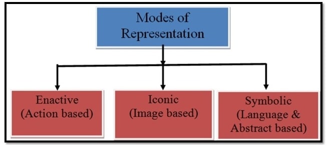 Bruner's cognitive development discount theory