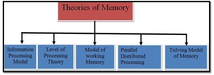 THEORIES OF MEMORY
