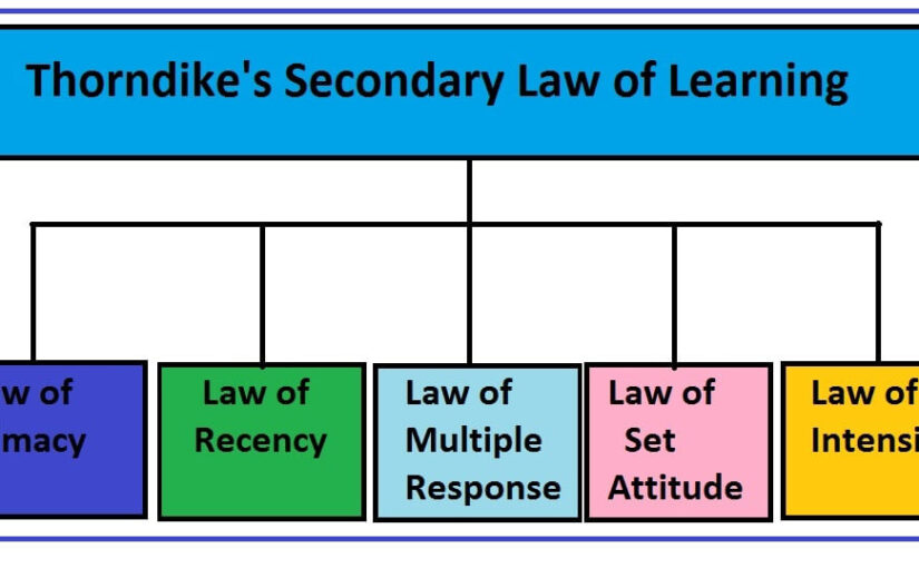 Thorndike’s Secondary Law of Learning