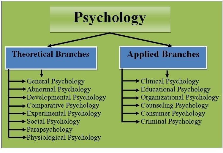 14 Branches of Psychology