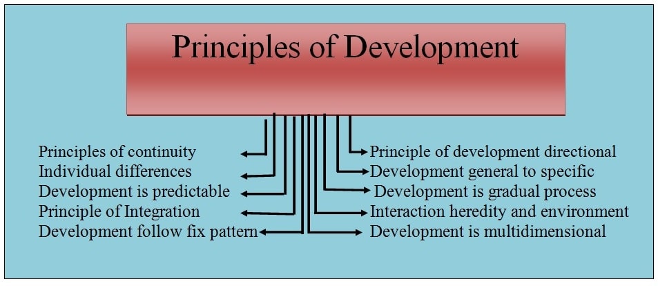 principles of development in psychology