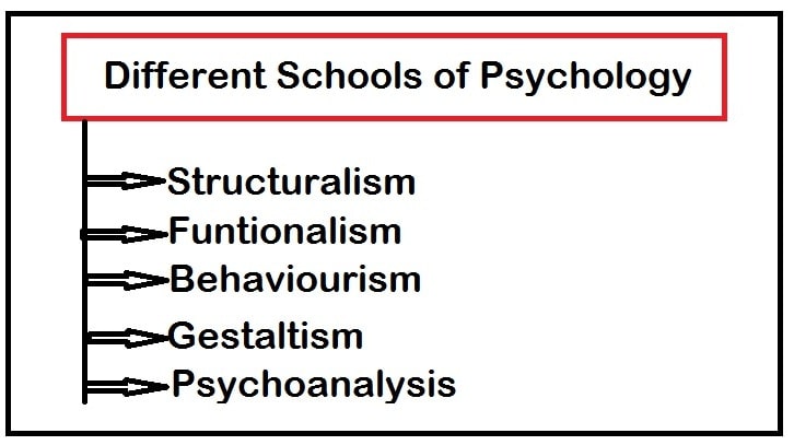 5 Different Schools of Psychology