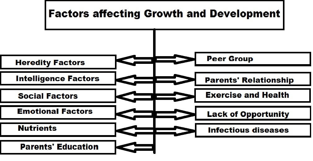 Factors affecting growth and development Educational Psychology