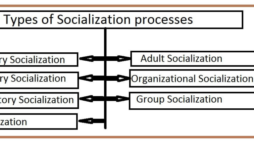 7 Types of Socialization Processes